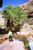 Lisa at Deer creek