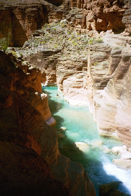 Kayaks enter Havasu creek