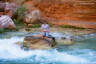 Smitty is a water nymph at Havasu creek