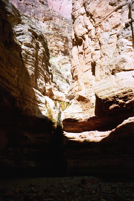 Not much water in the waterfall at Fern Glen