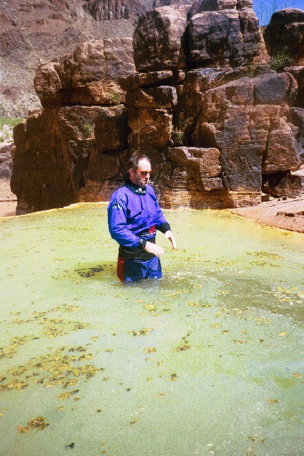 Mark gets mucky at the pumpkin spring