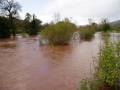 P1010002 Usk at Crickhowell - Looking upstream. This is normally a field!